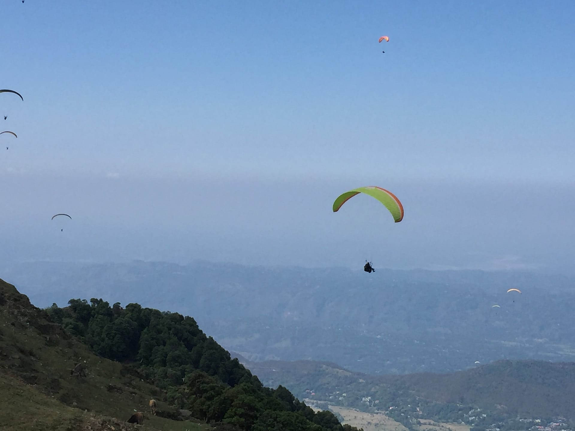 Paragliding in Bir Billing